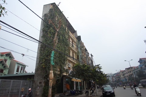 
Những ngôi nhà “siêu mỏng” nằm cạnh nhau ở Đào Tấn là một trong những khu phố đầu tiên ở Hà Nội “thai nghén” nên kiểu kiến trúc đặc biệt này. (Ảnh: Internet)