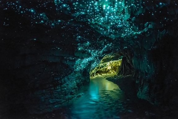 
Đây không phải là căn phòng của nàng tiên cá Ariel, mà là hang động Waitomo tuyệt đẹp ở New Zealand.