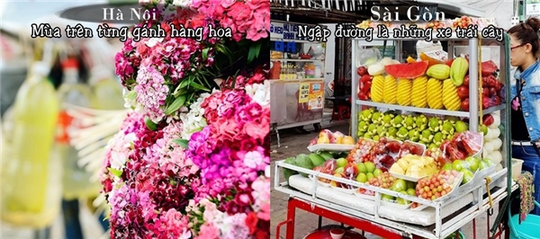 
Nếu Hà Nội nổi tiếng với những gánh hàng hoa trên từng con phố thì Sài Gòn cũng nổi bật bởi những xe trái cây đầy màu sắc, tươi ngon vô cùng.