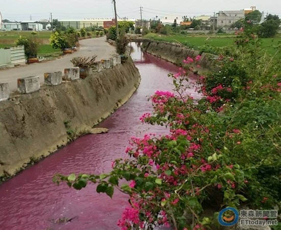 
Suối Nian Taoyuan - một con suối bị ô nhiễm nặng nề tại Đài Loan được chọn lấy mẫu nước làm kem.