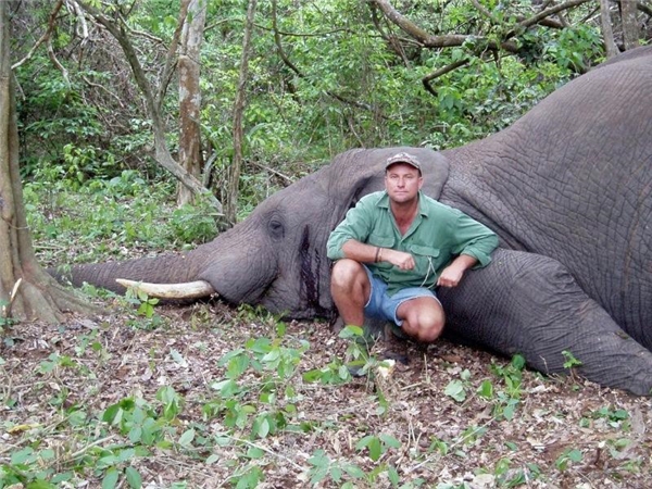 Hung thần của các loài thú bị voi đè chết trong khi đi săn