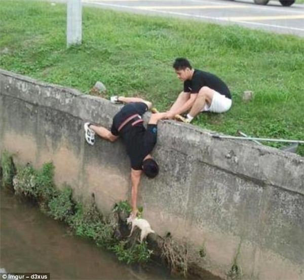 
Hai người bạn đang cố gắng cứu chú mèo đang sắp rời xuống dòng nước một con kênh.