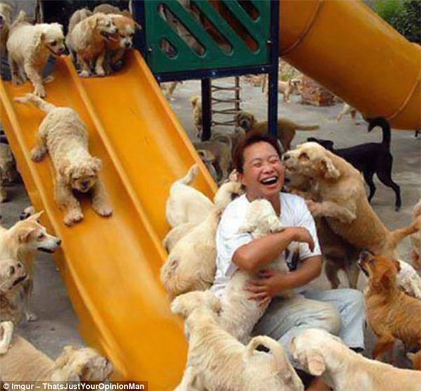 
Một người cứu hộ động vật ở Trung Quốc đã chi ra hơn 6000 euro (hơn 150 triệu đồng) để mua tất cả những chú chó trên chiếc xe tải chở chúng về lò giết thịt.