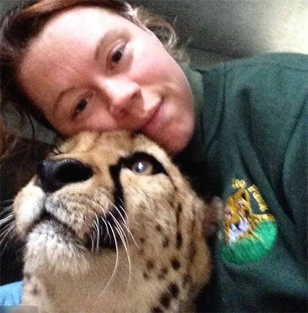 Nữ nhân viên vườn thú bị hổ vồ chết khi cố gắng giải cứu đồng nghiệp