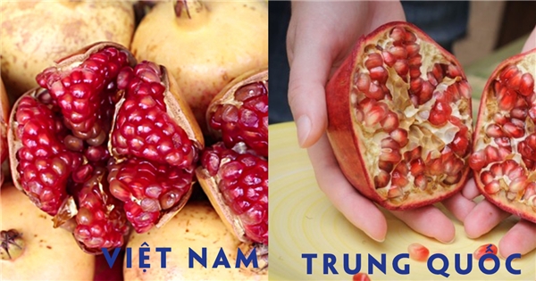 
Nên chọn loại trái nhỏ và hột nhiều, vỏ dày, màu da xanh, đây là lựu Việt Nam.