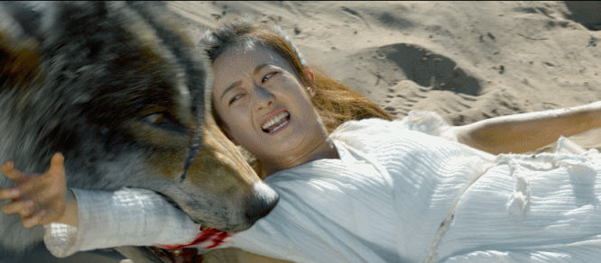
Cảnh đối đầu với chó sói kịch tính của Sở Kiều được xem là giống thật và gần với nguyên tác nhất.