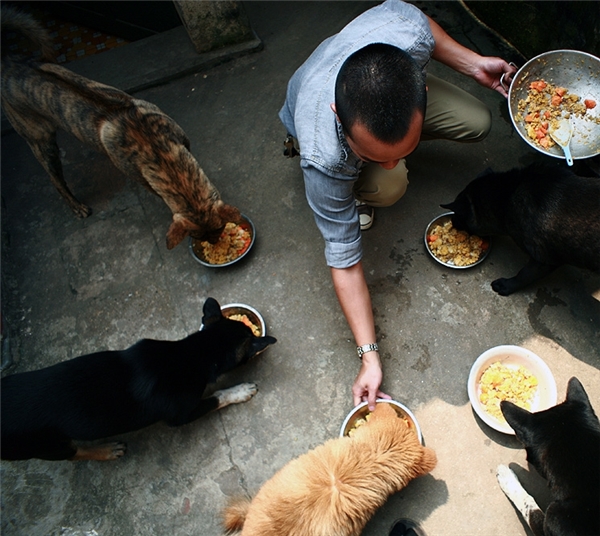 
Chúng ta thường có thói quen cho thú cưng ăn uống theo khẩu phần ăn của gia đình. (Ảnh: Reds.vn)