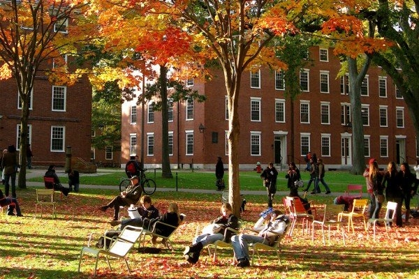 
Khuôn viên đẹp như tranh vẽ của trường đại học Harvard.