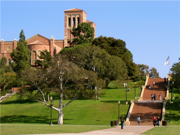 
Trường California, Los Angeles chủ yếu đào tạo các chuyên ngành xã hội.