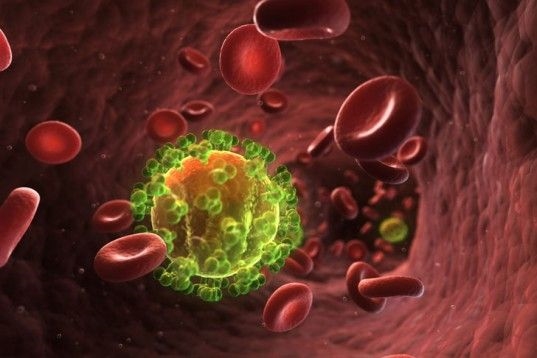 
Quá trình virus HIV xâm nhập vào tế bào hồng cầu của cơ thể.