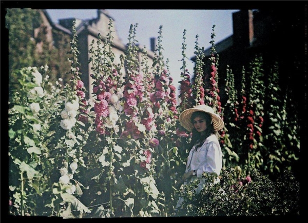 Thiếu nữ bên hoa thục quỳ. Ảnh chụp vào năm 1908