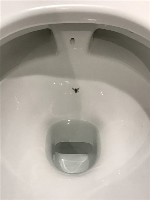 
Ở Anh, thỉnh thoảng sẽ có con gì đó chui vào toilet, và nó sẽ chết trước khi kịp làm chuyện gì mờ ám.
