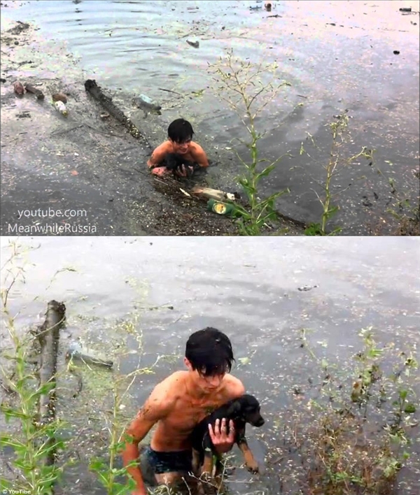 
Cậu bé Vladamir Maksimov trông thấy một chú chó con bị nước lũ cuốn trôi nên đã bơi xuống vớt nó lên. Sau đó cậu nhận nuôi chú chó và đặt tên nó là Lucky.