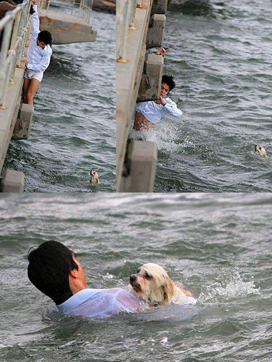 
Khi đang được chủ dắt đi dạo chơi trên một cầu cảng ở Melbourne, Australia, chú chó này bị một cơn gió mạnh cuốn văng xuống nước. May mắn thay, nó được một du khách gần đó nhảy xuống vớt lên an toàn.