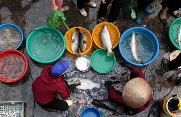 
Bạn có thể đi chợ và làm sạch cá ngay trong chợ.