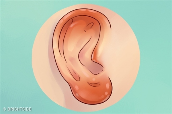 Hóa ra tai không phải chỉ dùng để nghe và đeo trang sức