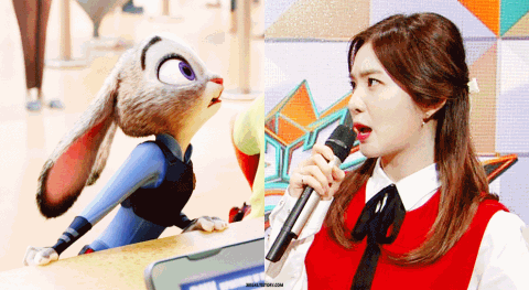 
Irene thường được các fan so sánh với cô thỏ Judy nổi tiếng.