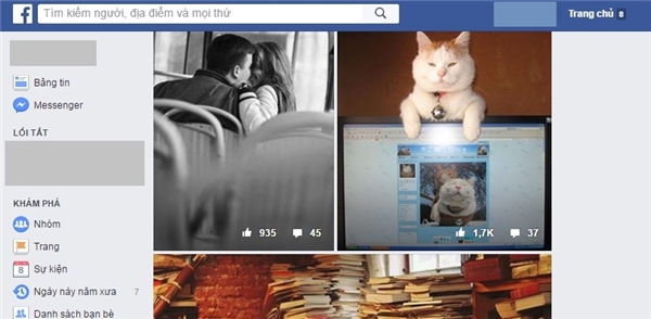 Nhìn là biết người ấy có vẻ thích mèo với sách rồi nhé. 