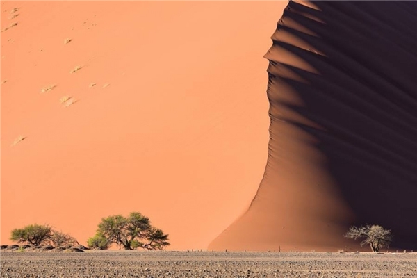 
Đụn cát tại Hoang mạc Namib, bên sáng bên tối hoàn toàn trái ngược.