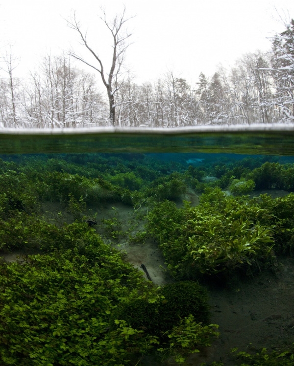 
Hồ Mari El ở Nga, bên trên mặt nước là mùa đông lạnh giá nhưng dưới nước mọi thứ vẫn xanh tươi như mùa xuân.​