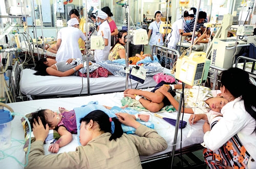 
Tính tới thời điểm hiện tại, trên địa bàn tỉnh Quảng Ngãi có hơn 500 ca mắc bệnh sốt xuất huyết.
