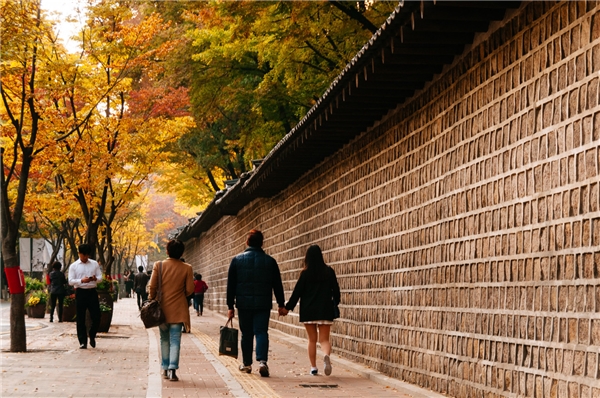 
Vẻ đẹp nên thơ và bình yên của con đường Deoksugung vào mùa thu