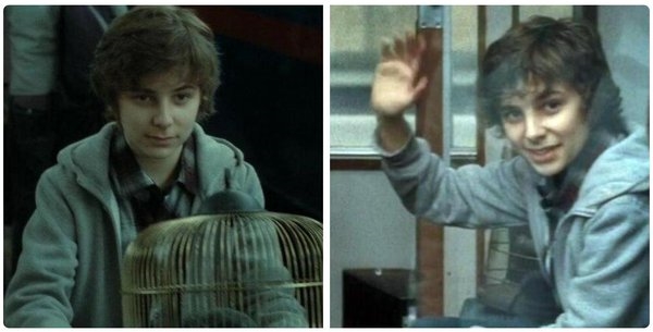 
James Sirius Potter, con trai lớn của Harry và Ginny, sau này đánh cắp chiếc Bản đồ Đạo tặc trong ngăn kéo của bố và bắt đầu đi quậy phá.