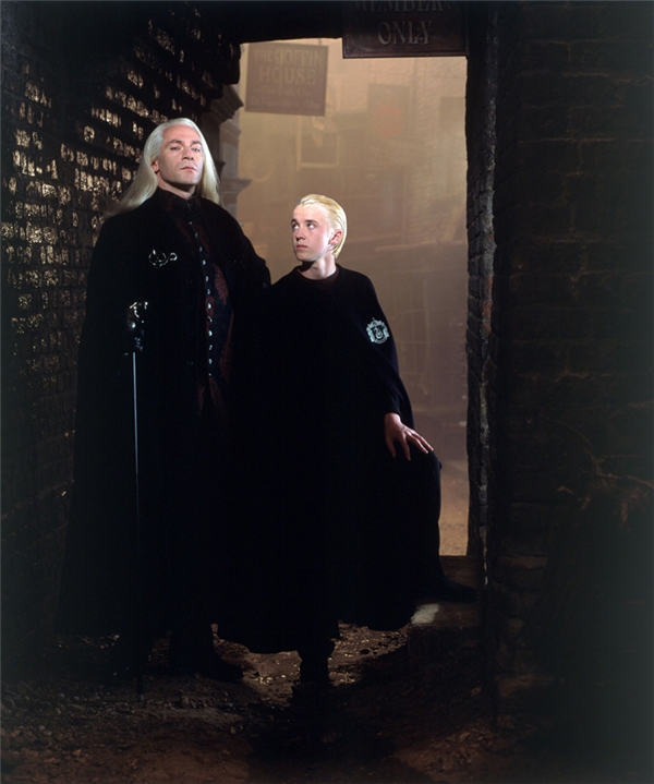 
Vì gia tộc gắn liền với phép thuật hắc ám và vì căm ghét dân Muggle nên ban đầu Lucius Malfoy muốn Draco theo học tại trường Durmstrang.