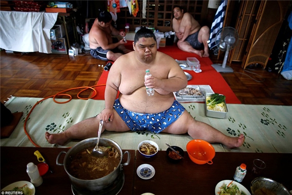 
Khẩu phần ăn của họ gồm có móng giò, cá mòi nướng hoặc chiên, cơm, và một nồi đồ hầm dành riêng cho lực sĩ sumo. Tổng cộng mỗi người phải nạp 8.000 calo mỗi ngày.