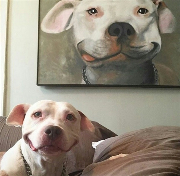 
Chú chó hạnh phúc với tấm chân dung sao y bản chính của nó. Chỉ là một nụ cười nhưng cảm giác yên bình đến lạ.