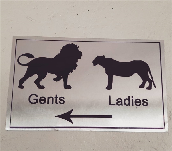 
Bạn là sư tử đực hay sư tử cái?