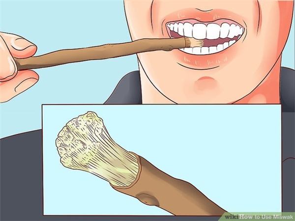 Người cổ đại đánh răng bằng gì?