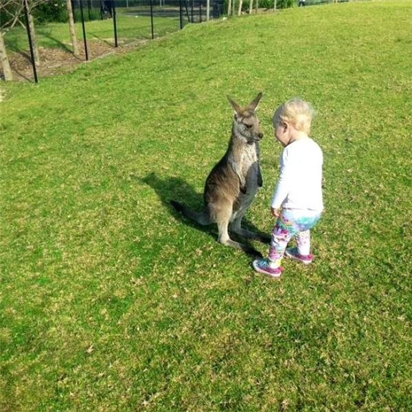 
Được bố mẹ dẫn đi chơi công viên, đứa bé đã nhanh chóng tìm được bạn mới. Tứ hải giai huynh đệ, ở đâu cũng có anh em, bất kể là người hay thú