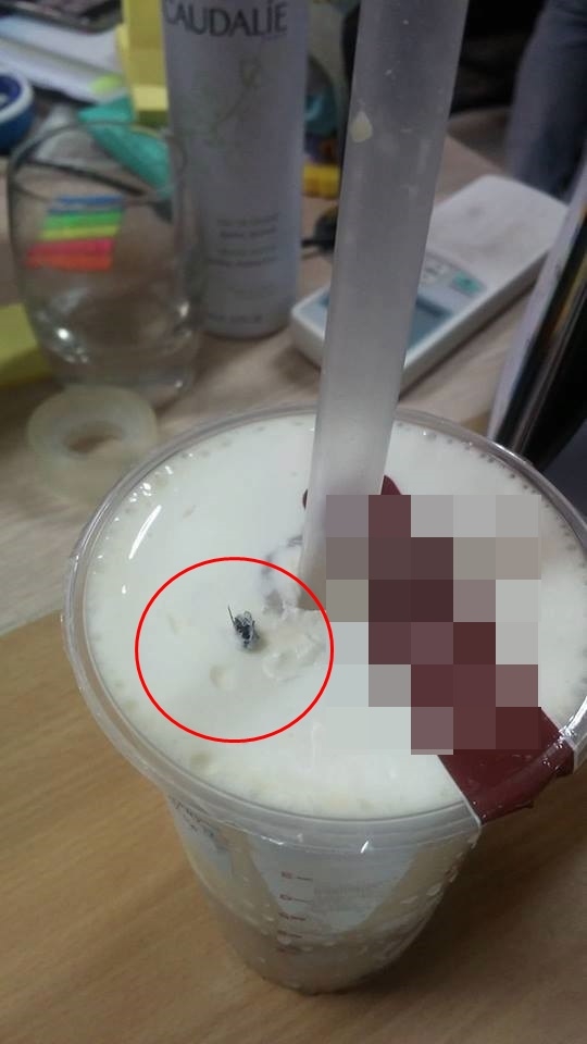 Tin độc quyền: Trà sữa nổi tiếng bị tố có ruồi, khách suýt nuốt nguyên con ruồi