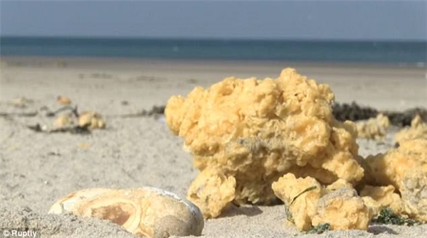 Vật thể lạ màu vàng rải chi chít dưới bãi biển khiến người dân hoảng hốt