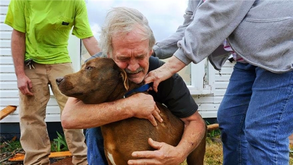 
Greg Cook xúc động ôm chú chó tri kỉ của mình. Ông đã tưởng sẽ mất nó sau khi nhà ông bất ngờ bị sập.