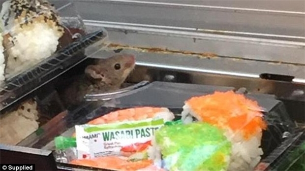 
Chú chuột vô tư chạy loanh quanh khu thực phẩm.
