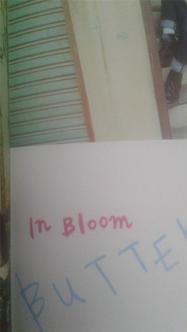 
Cụm từ "In Bloom" xuất hiện trong album HwaYangYeonHwa phần 2 trước đó của BTS.