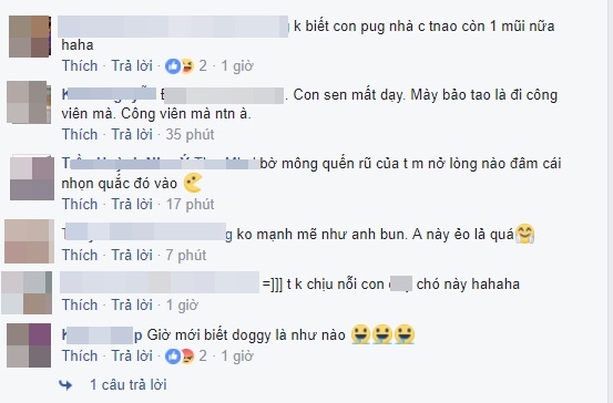 
Những bình luận hài hước của cộng đồng mạng về chú chó "thánh ăn vạ" 