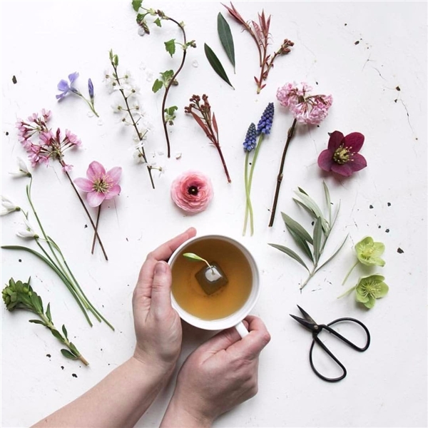 
Một tách trà xanh không những mang lại lợi ích sức khỏe mà nếu phối hợp với các loại hoa cùng lối chụp flat lay thì bạn đã có một tấm ảnh hớp hồn người xem rồi.
