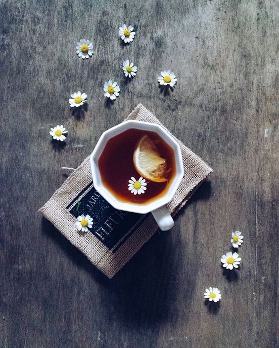 
Cách sở hữu bức ảnh từ trà hoa cúc đẹp lung linh hẳn không thể thiếu đi hoa cúc tươi rồi!