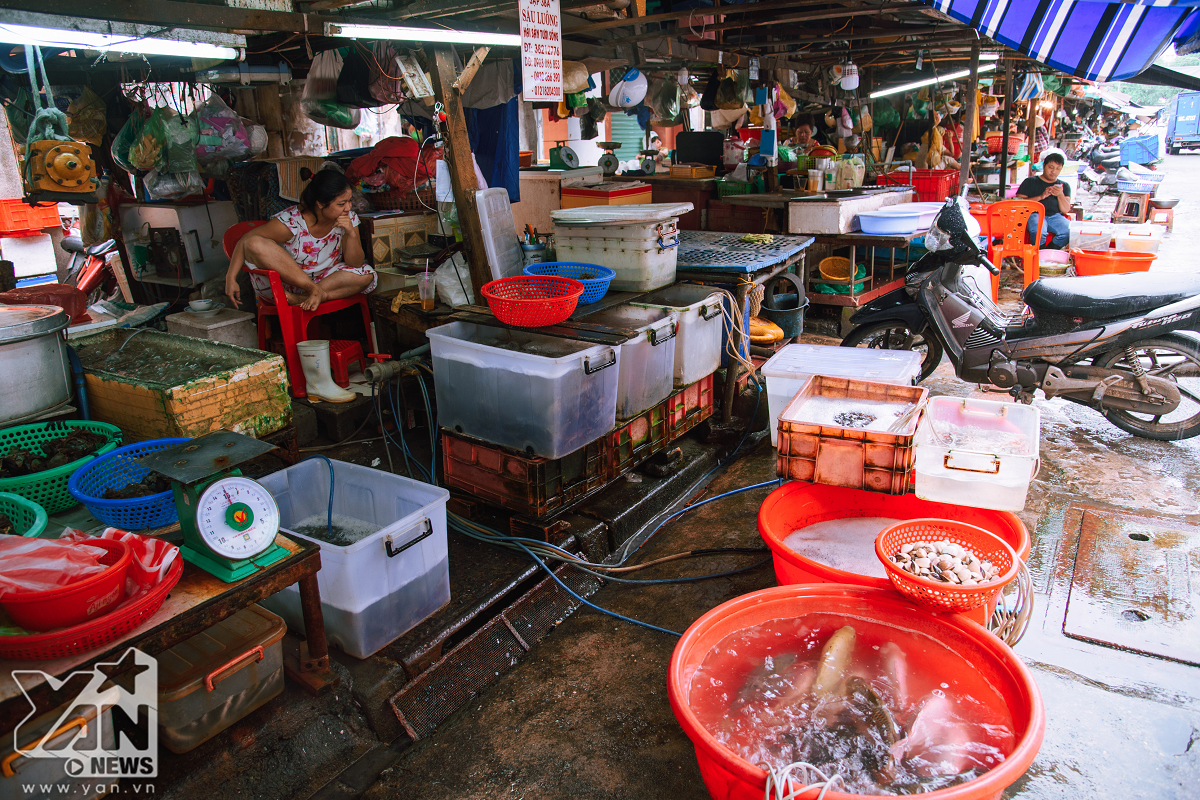 Các mặt hàng hải sản cao cấp cũng được bày bán ở "chợ nhà giàu".