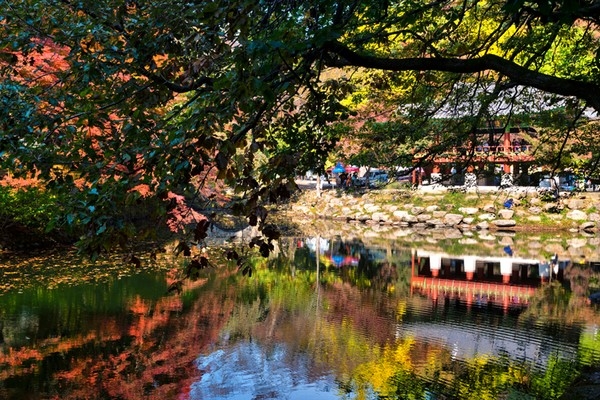 
Khung cảnh thơ mộng bên hồ trong vườn Naejangsan.