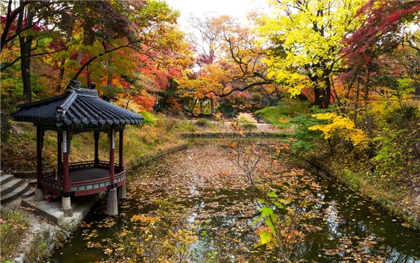 
Mặt hồ trong cung điện vào mùa thu.