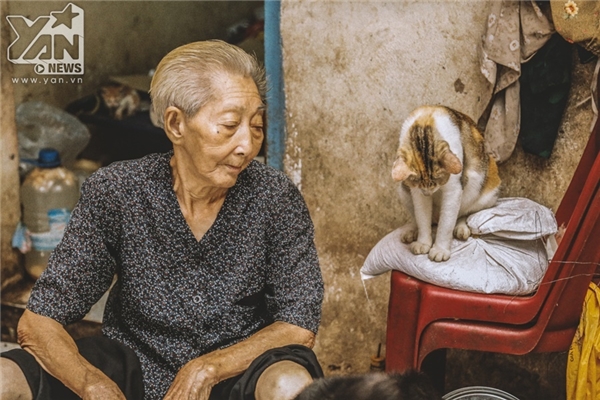 Cụ bà 82 tuổi, ăn không đủ nhưng chưa một ngày để lũ chó mèo hoang phải đói