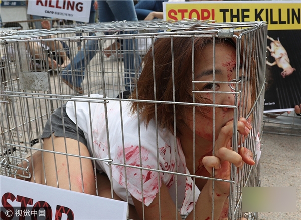 Các cô gái Hàn Quốc nằm trong lồng sắt để phản đối ăn thịt chó