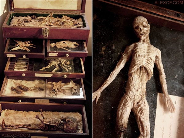 Discover mummies of fairies, werewolves, even aliens?