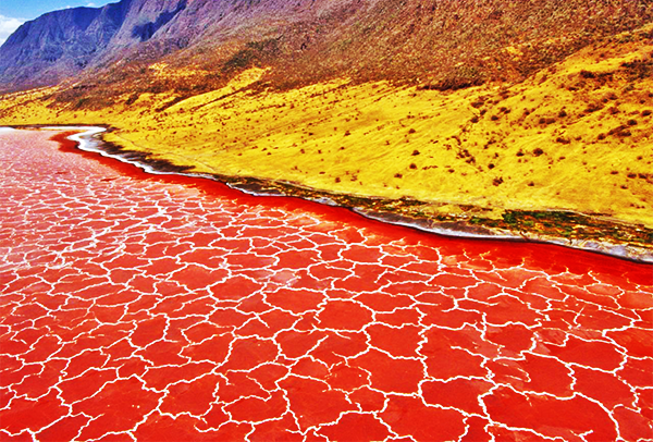 
Hồ nước này được xem là hồ nước nguy hiểm nhất thế giới bởi khả năng hóa đá mọi sinh vật sống của mình.