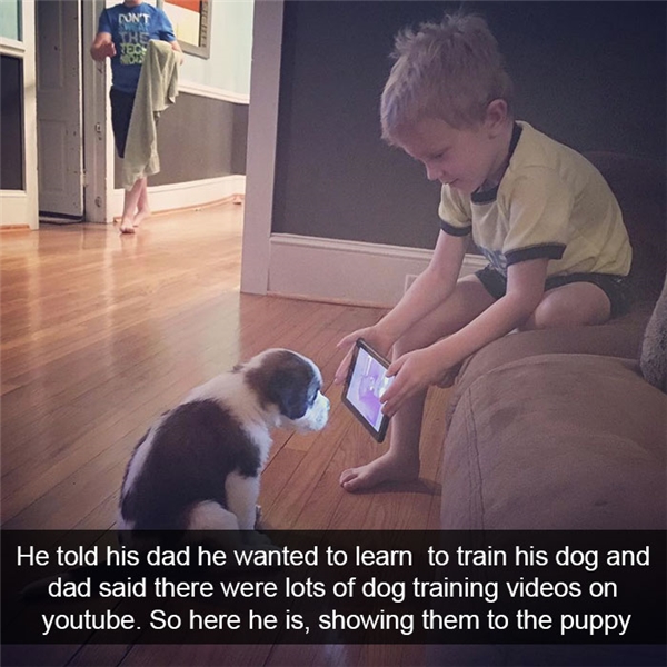
''Cậu ấy nói với bố là muốn học cách dạy dỗ chú chó này. Người bố mới bảo lên YouTube đi, có rất nhiều video hướng dẫn trên đó. Và cậu ấy đã làm thế này đây''.