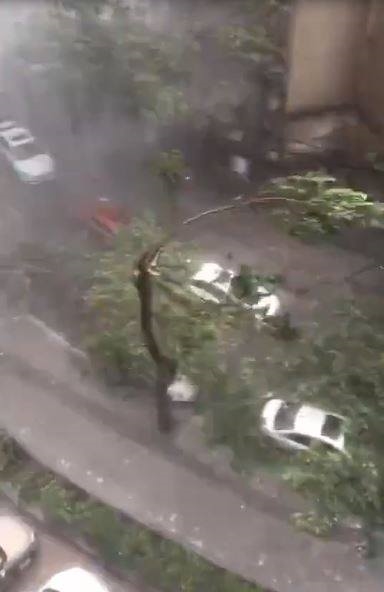 
Cây cối nghiêng ngả trước sức gió khủng khiếp của trận bão (Ảnh: cắt từ clip)